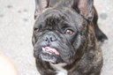 gal/cro 08/_thb_small-IMG_5062.JPG